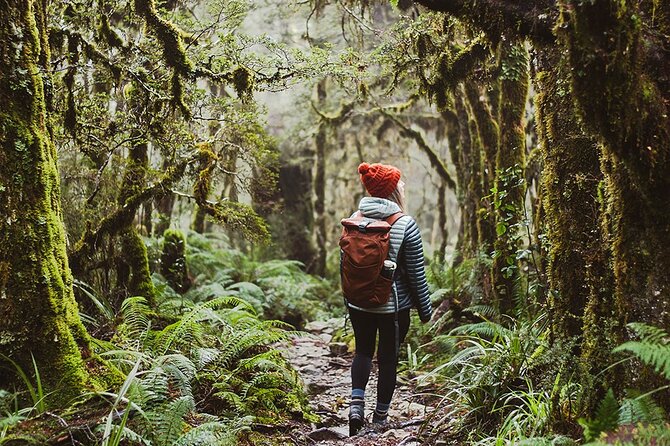 Lake Marian Guided Hike with Transfers, Lunch & Morning Tea - Key points to know before booking