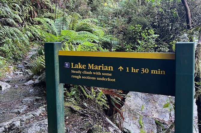 Lake Marian Guided Hike with Transfers, Lunch & Morning Tea - Reaching Lake Marian’s southern side