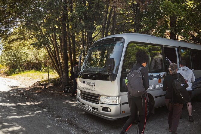 Lake Marian Guided Hike with Transfers, Lunch & Morning Tea - The Milford Road drive into Fiordland