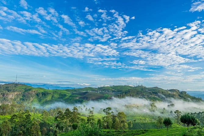 Lipton's Seat and Tea Factory,Trail Amidst Tea Plantation Day Tour - Why Lipton’s Seat makes this half-day trip worthwhile