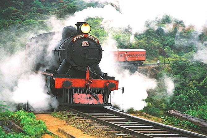 Lipton's Seat and Tea Factory,Trail Amidst Tea Plantation Day Tour - Who should book this tour?