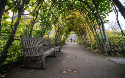 London Afternoon Tea, Fast-Track Kensington Palace Tickets