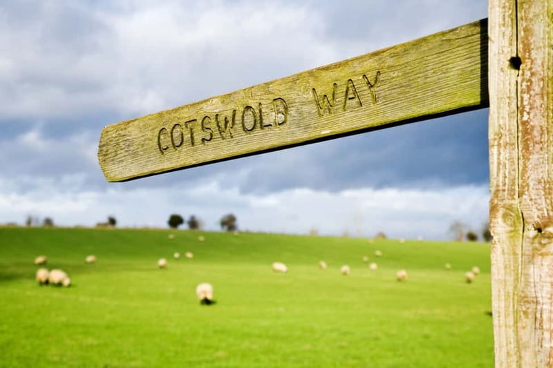 London: Cream Tea at Blenheim Palace & the Cotswolds Tour - Cream tea at Blenheim Palace