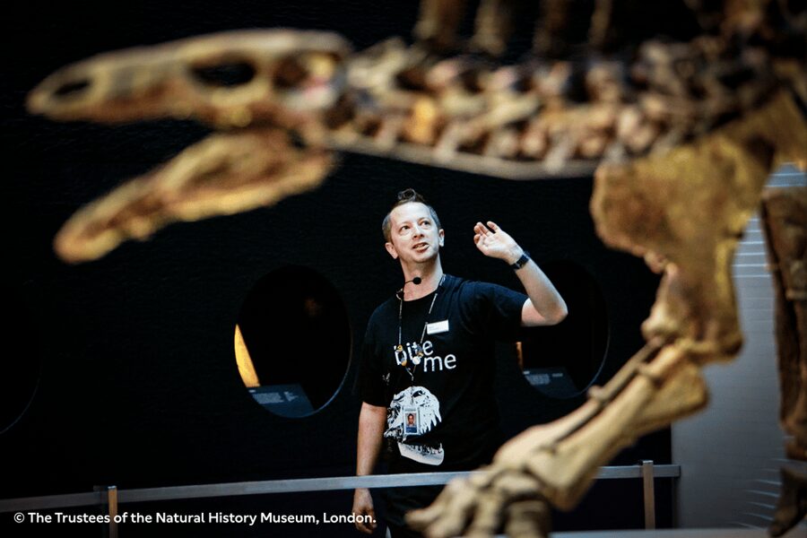 London: Natural History Museum Guided Tour & Afternoon Tea - Why this Natural History Museum visit works