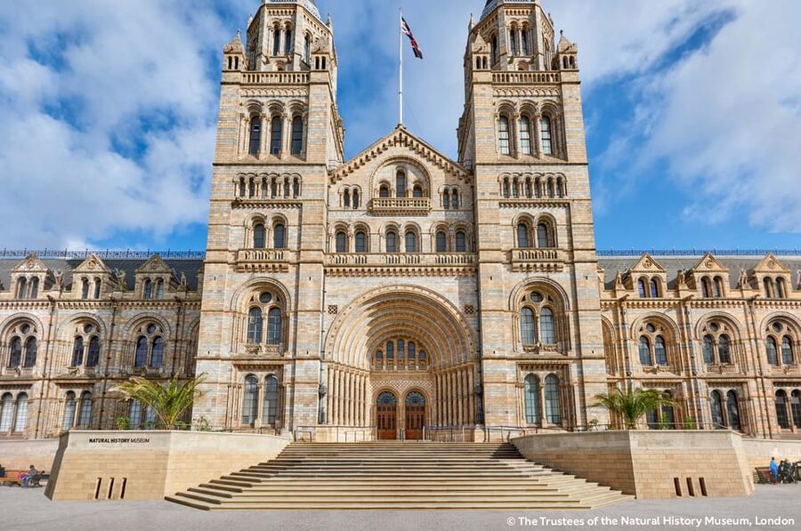 London: Natural History Museum Guided Tour & Afternoon Tea - One hour with Fern, Hope, and Darwin