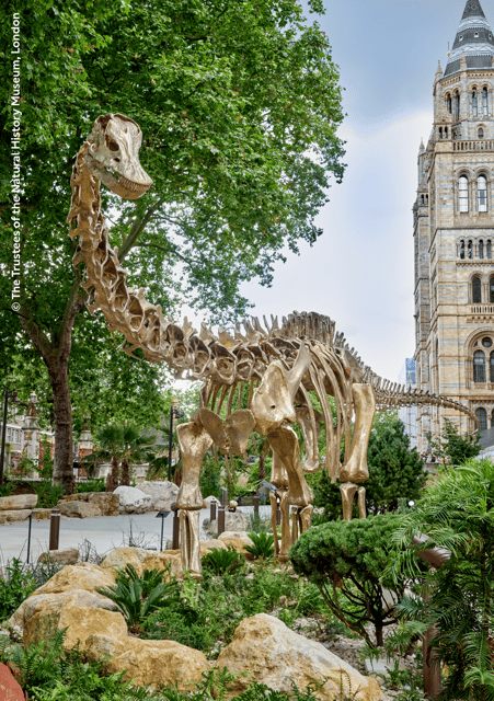 London: Natural History Museum Guided Tour & Afternoon Tea - What the $148 price really buys