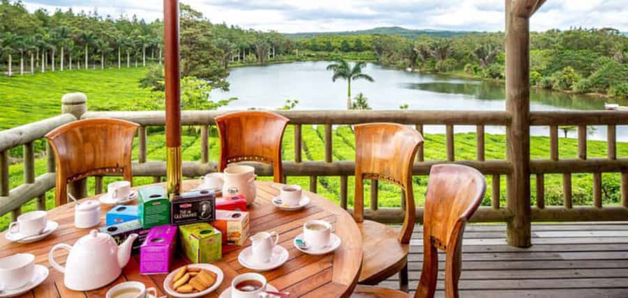 Mauritius: Crocodile Park and Tea Factory Tour with Tasting - The museum and the story of tea in Mauritius