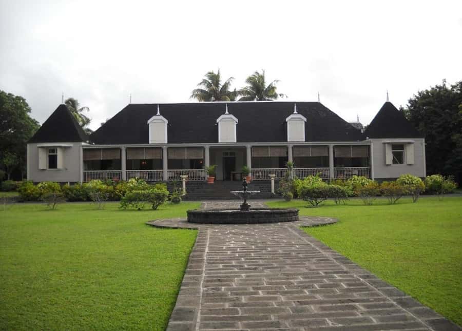 Mauritius: Crocodile Park and Tea Factory Tour with Tasting - Tasting flavored, green, and herbal teas