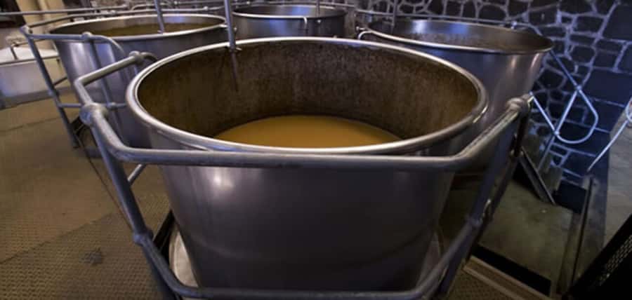 Mauritius: Tea and Sugar Plantation Guided Tour with Lunch - Who will enjoy this plantation tour most
