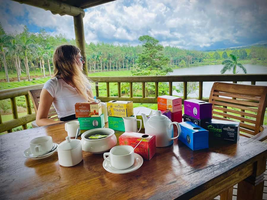 Mauritius: Tea, Rum and Vanilla Route with Lunch and Pickup - Key points to know before booking