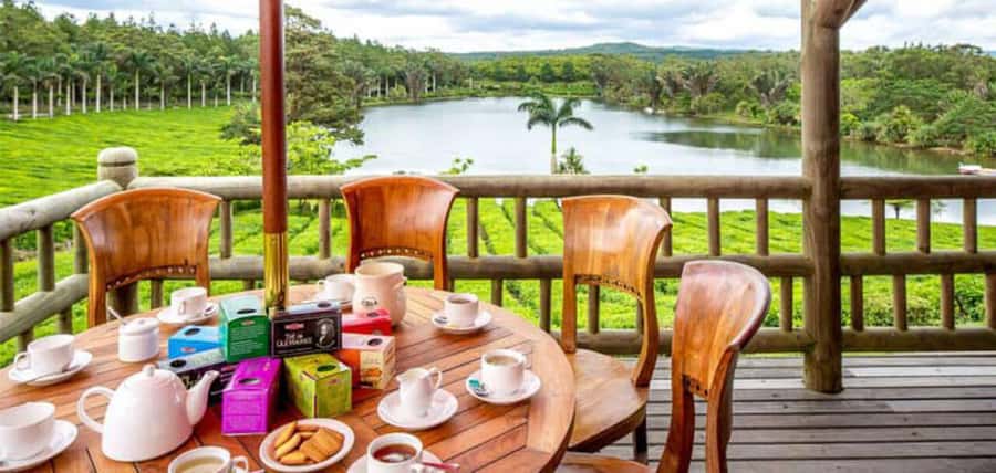 Mauritius: Tea, Rum and Vanilla Route with Lunch and Pickup - What the guide adds to the experience