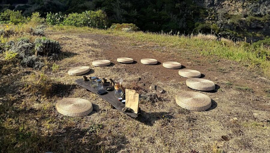 Mindful Tea Ceremony in Hidden Nature of Madeira - The nature setting is part of the tasting
