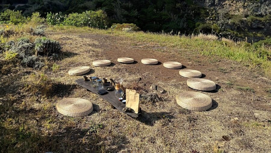 Mindful Tea Ceremony in Hidden Nature of Madeira - Who will enjoy this most