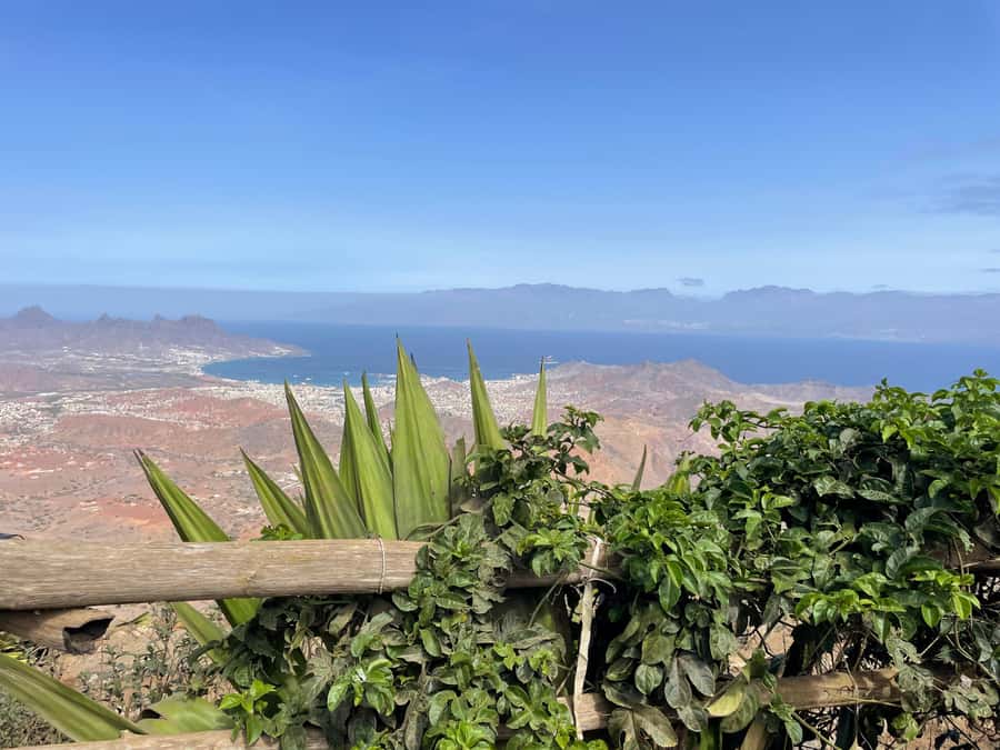 Monte Verde by Car & Tea House – São Vicente’s Highest Point - Key points to know before you book