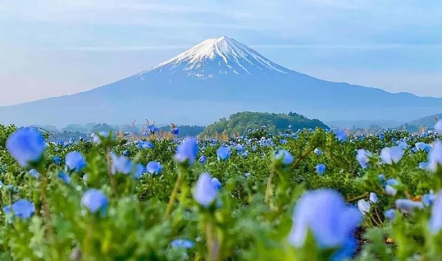 Mt. Fuji & Lake Kawaguchiko Ropeway Panorama Full-Day Tour - Why this Mt. Fuji day trip works from Tokyo