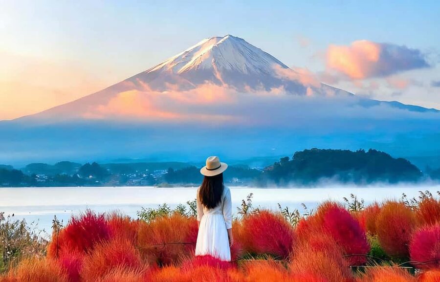Mt. Fuji & Lake Kawaguchiko Ropeway Panorama Full-Day Tour - Matcha by Lake Kawaguchiko