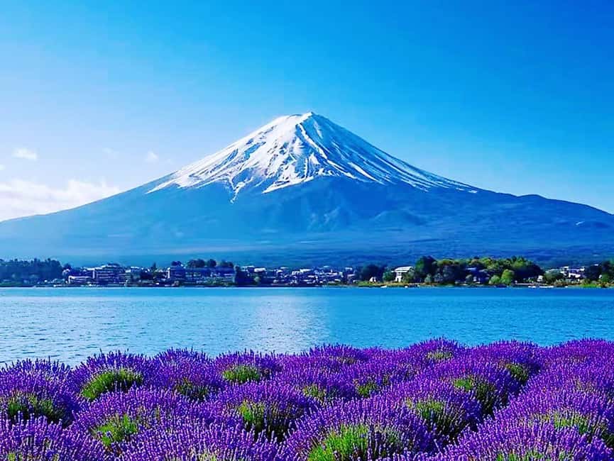 Mt. Fuji & Lake Kawaguchiko Ropeway Panorama Full-Day Tour - Guides make the difference on a packed schedule
