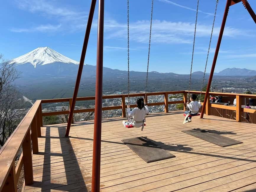 Mt. Fuji & Lake Kawaguchiko Ropeway Panorama Full-Day Tour - Who should book this Fuji outing