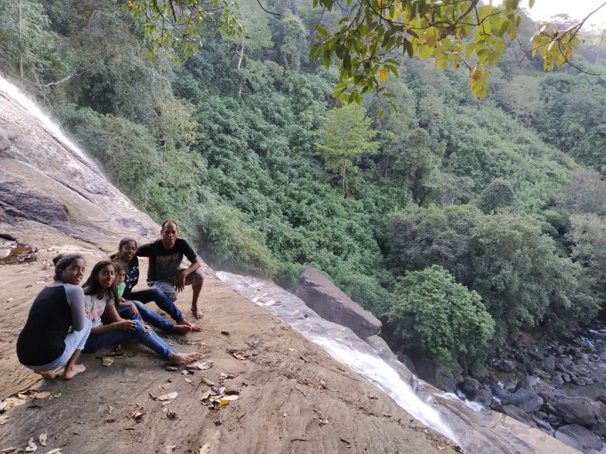 Munnar: Tea Garden and Elephant Safari Trip by 4x4 - From Letchmi tea fields to Anakulam forest