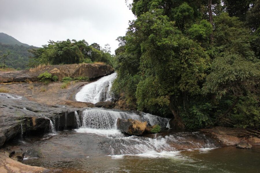 Munnar: Tea Garden and Elephant Safari Trip by 4x4 - Viripara Waterfalls and the first forest break
