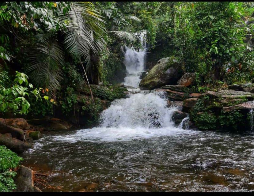 Munnar: Tea Garden and Elephant Safari Trip by 4x4 - Perumbankuthu Waterfalls and the long ride home