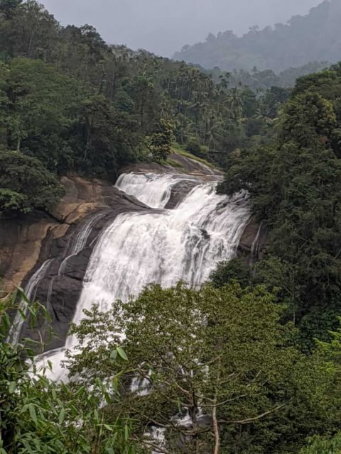 Munnar: Tea Garden and Elephant Safari Trip by 4x4 - Tiger Cave, Mankulam, and the rougher road