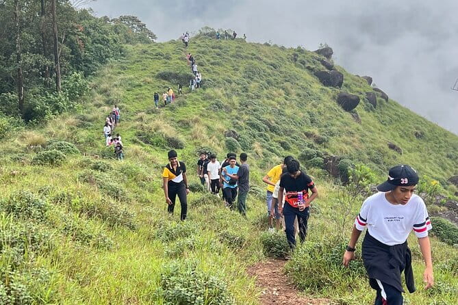 Munnar Tea Plantation Evening walking with Sunset View - Should you book this $8 evening walk?
