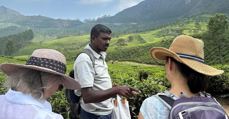 Munnar: Tea trail, Tea Factory, and Tea Tasting Tour - Who will enjoy this three-hour outing