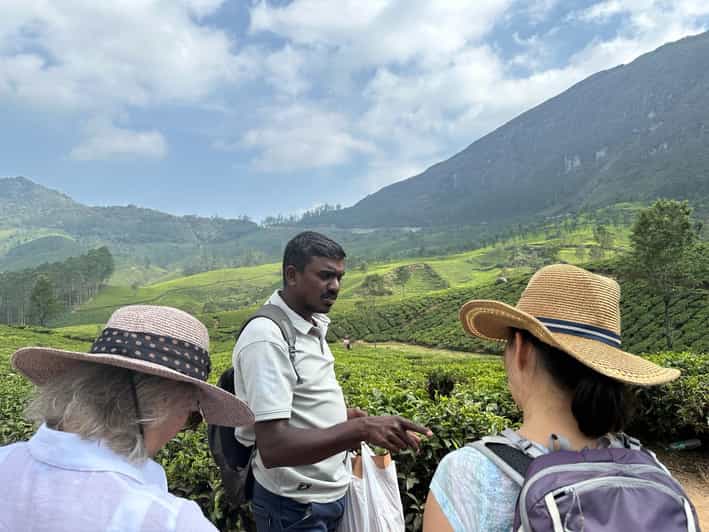 Munnar: Tea trail, Tea Factory, and Tea Tasting Tour - Practical tips for a smoother morning