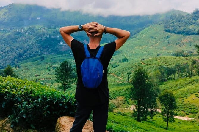 Munnar Tea Trail Tour , Tea factory visit & Tea Tasting - Views Toward Chokramudi Peak and Idli Hills