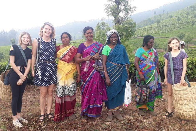 Munnar Tea Trail Tour with Factory Experience ( By Munnar Info) - Who will enjoy this experience most