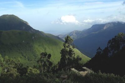 Munnar Tea valley Tour ( By Munnar Info)
