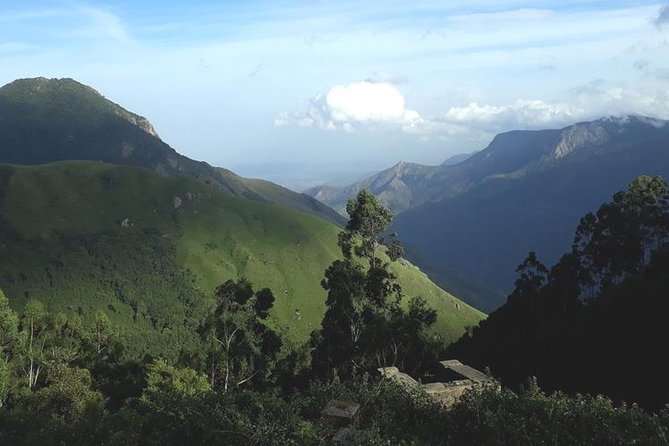 Munnar Tea valley Tour ( By Munnar Info) - The spice plantation begins the story