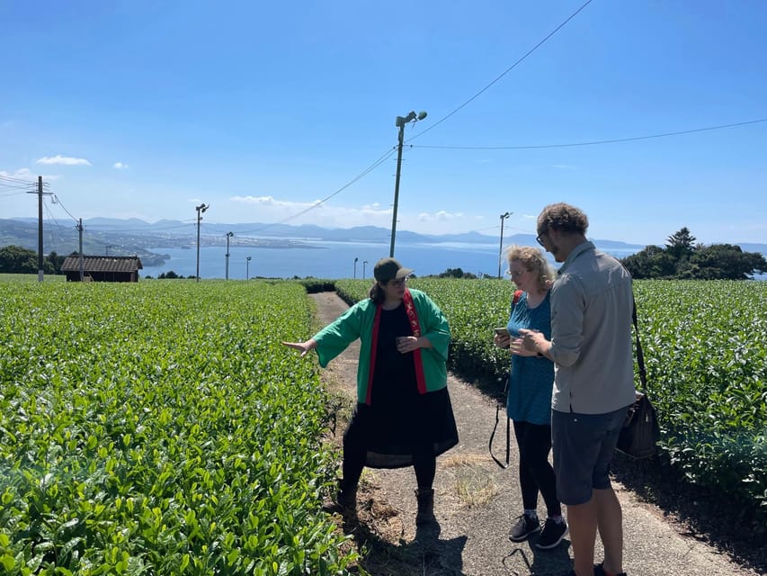 Nagasaki: Explore Japanese Teas on a Tea Tour - Why Sonogi belongs on a Nagasaki tea itinerary