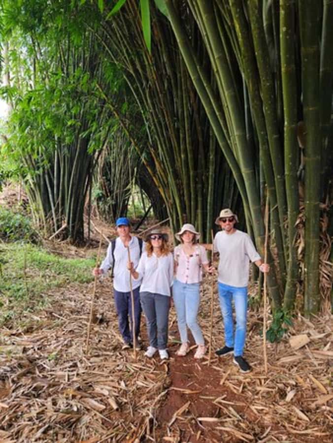 Nairobi: Purple Tea Farm Gatura Greens Day Trip - A Kenyan tea tasting with useful context