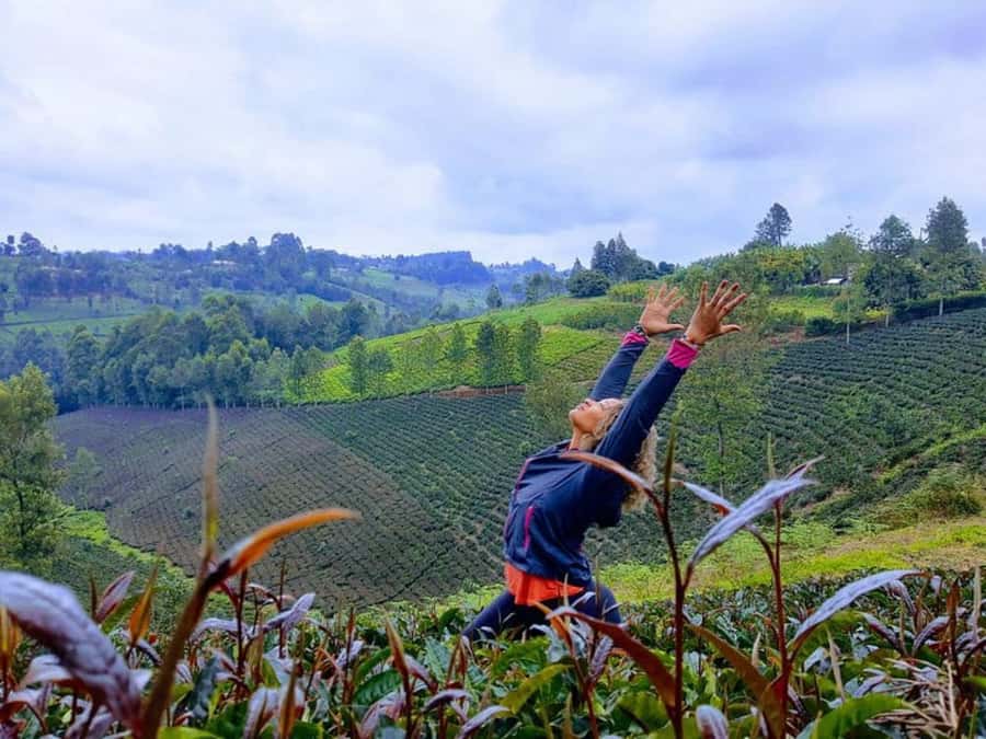 Nairobi: Purple Tea Farm Gatura Greens Day Trip - Walking through bamboo forest to the waterfall