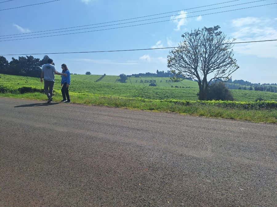 Nairobi: Tea Farm Day Trip with Lunch at kiambethu - Forest paths and the waterfall stop