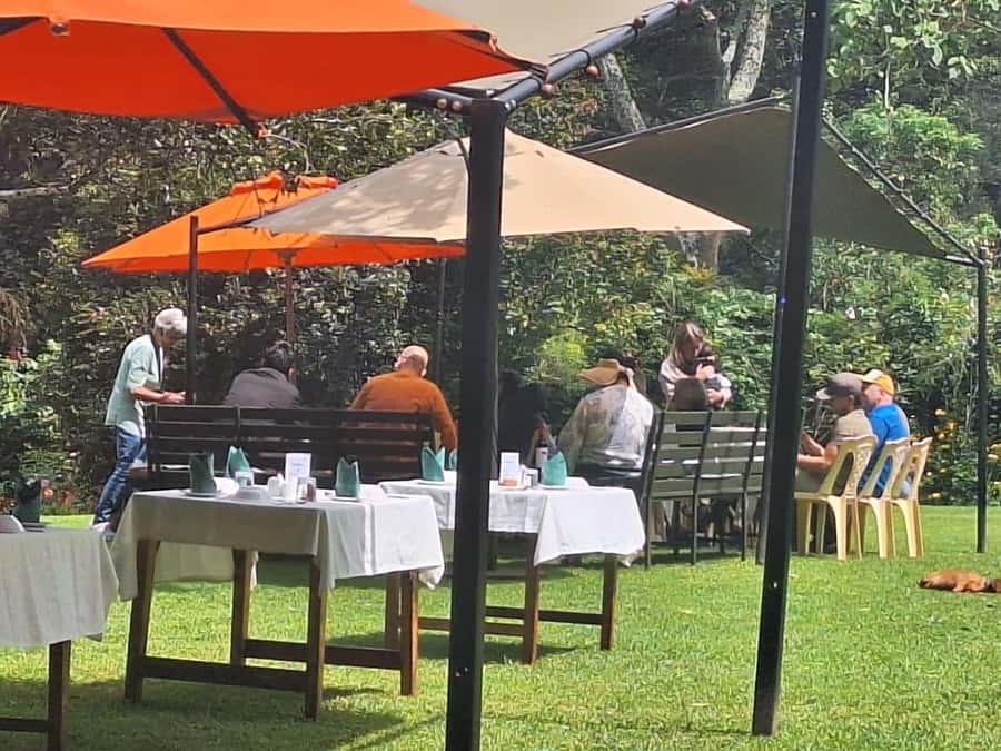 Nairobi: Tea Farm Day Trip with Lunch at kiambethu - Gardens, bonfire, and the pace of the afternoon