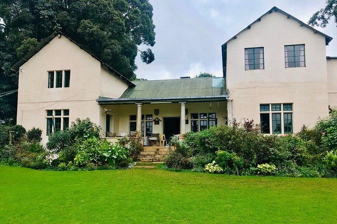 Nairobi to Kiambethu Tea Farm Tour - The drive from Nairobi and the guide experience