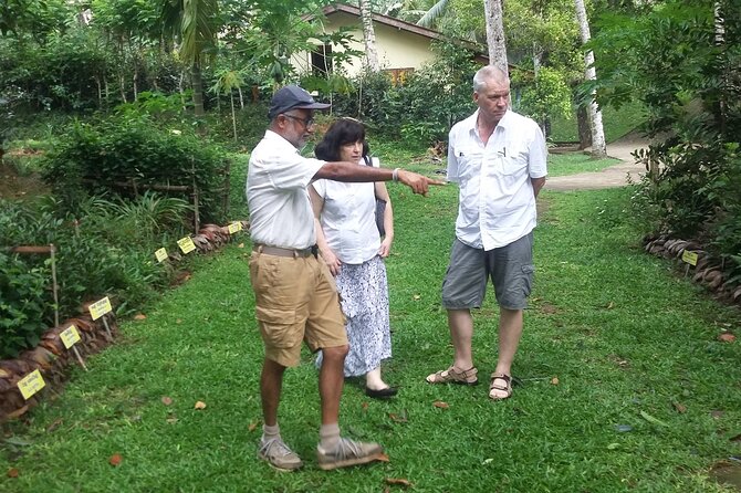 Nandana Tea Walking Tour in Sri Lanka - A personal, small-group style