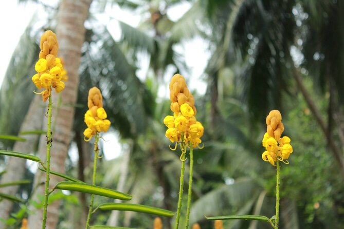 Nandana Tea Walking Tour in Sri Lanka - Is $78 a fair price?