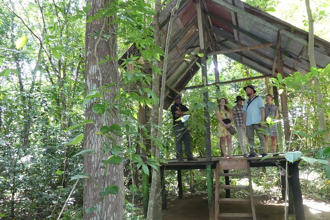 Nandana Tea Walking Tour in Sri Lanka - Who will enjoy Nandana most?