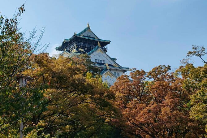 Nara Deer Park, Uji Matcha, & Hot Spring Full-Day Tour from Osaka - Guide quality and the shared-group trade-off