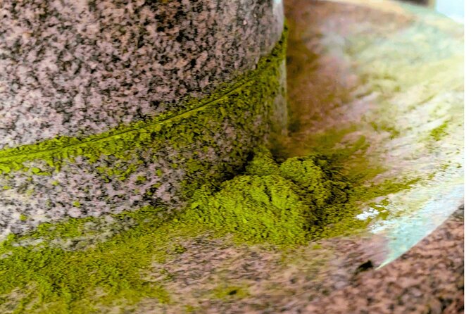Nishio Matcha Story|Tea Ceremony & Matcha Kaiseki Journey - Meeting the guide at Nishio Information Centre