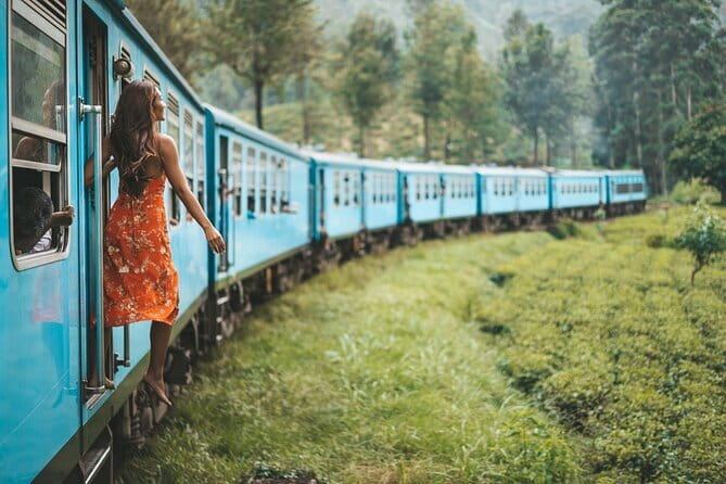 Nuwara Eliya Highlights: Waterfall, Tea & Picturesque Train Ride - Key points to know before booking