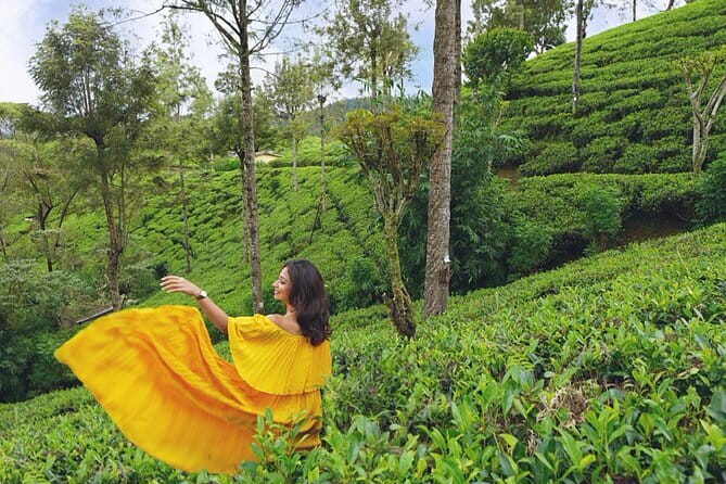 Nuwara Eliya Highlights: Waterfall, Tea & Picturesque Train Ride - Why this Kandy to Nuwara Eliya day works