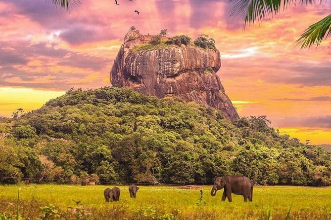 Nuwara Eliya Highlights: Waterfall, Tea & Picturesque Train Ride - Who will get the most from the $133 price