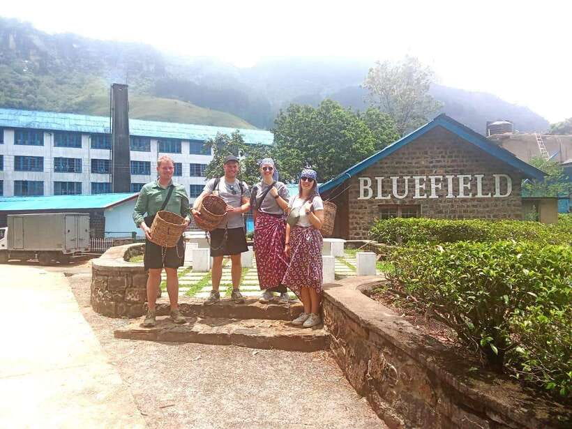 Nuwara Eliya: Tea Factory and Pickle Waterfalls Tuk Tuk Tour - Timing, pickup, and the real length of the day