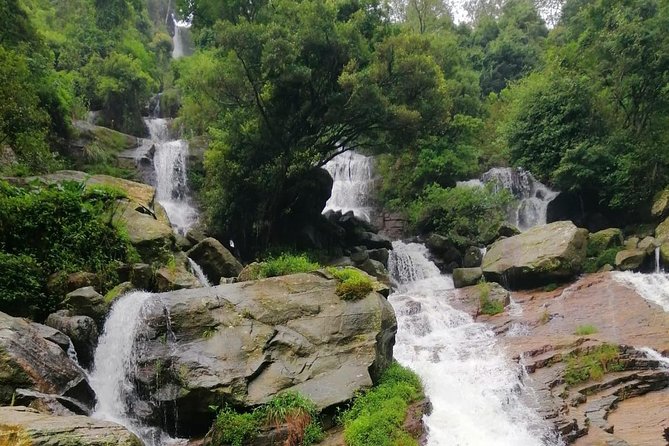 Nuwara Eliya Tea factory and waterfall tour - Starting at Damro Labookellie Tea Centre