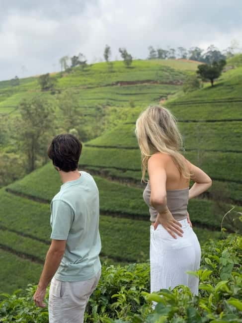 Nuwara Eliya Tea & Ramboda Falls Taxi tours for 5 pax - Why the private taxi matters for a five-person group